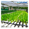 Tomato Hydroponic Growing Systems Polycarbonate Greenhouse